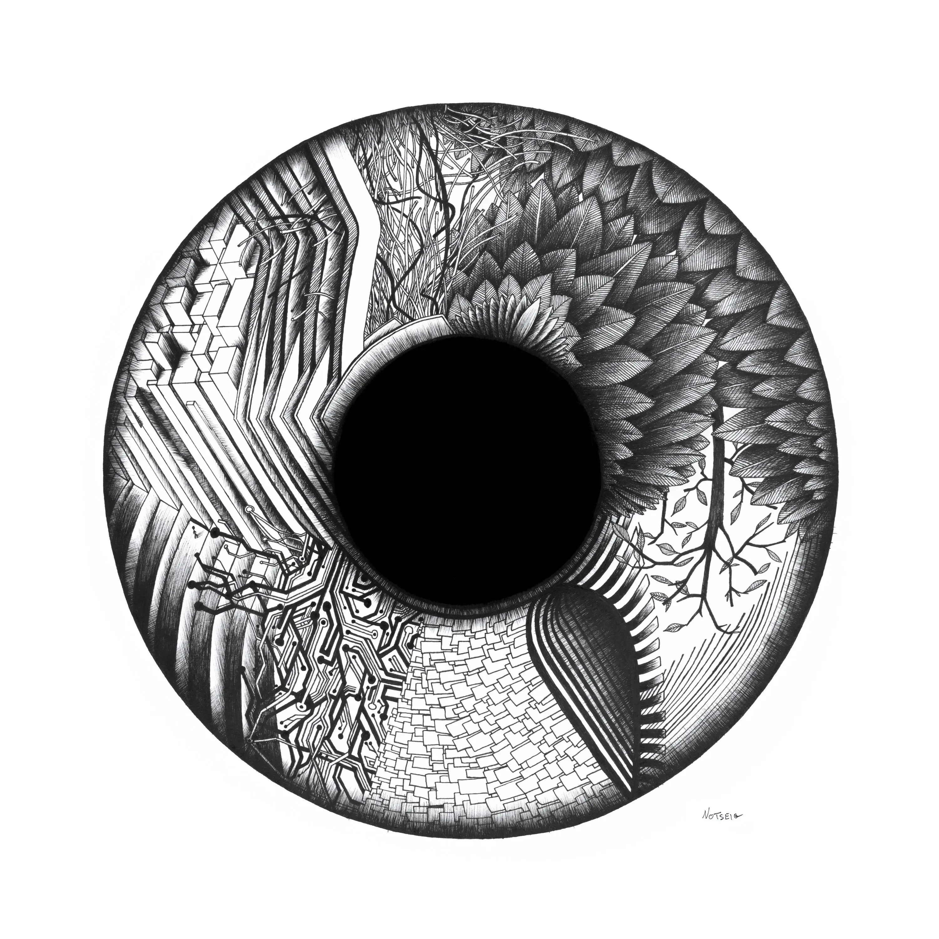 Iris