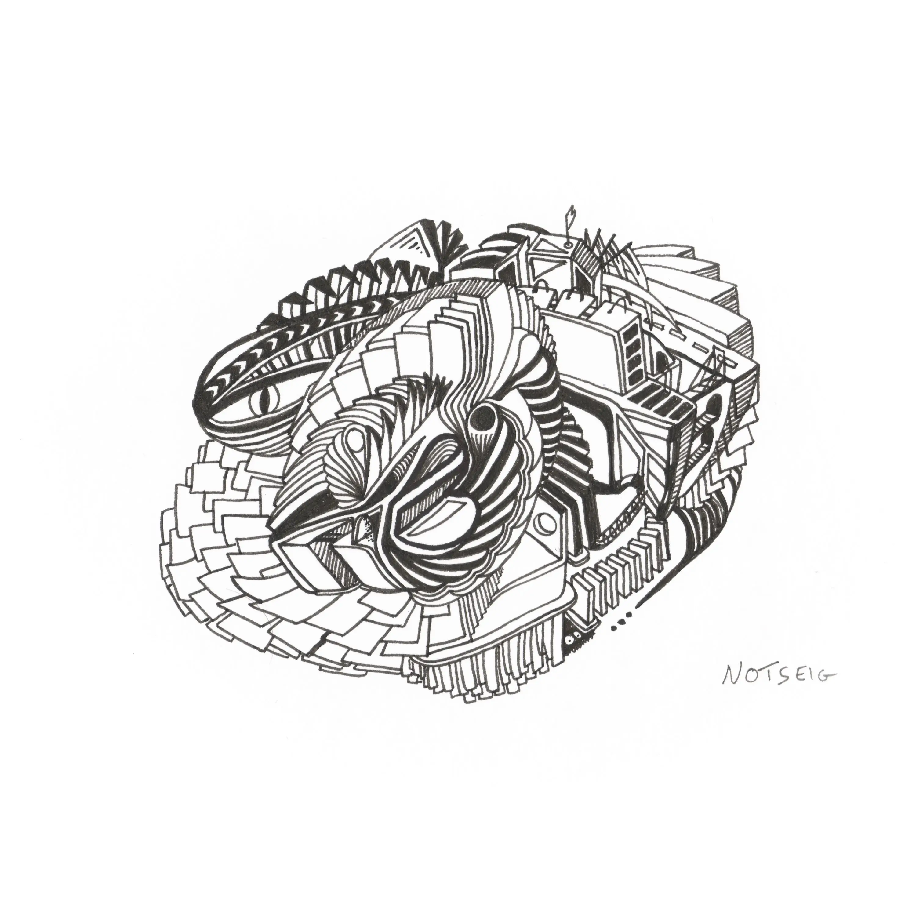Shell