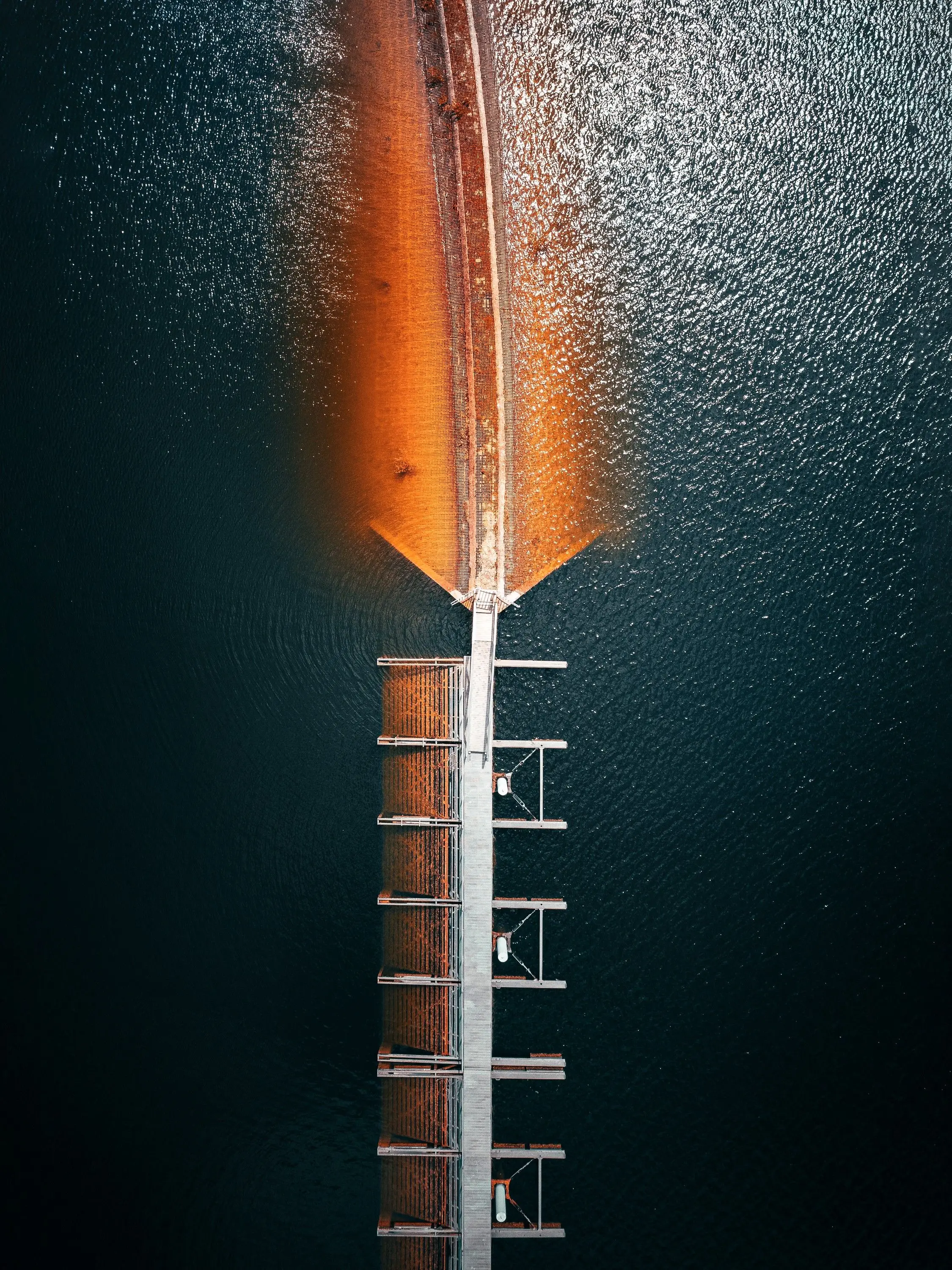 Spine